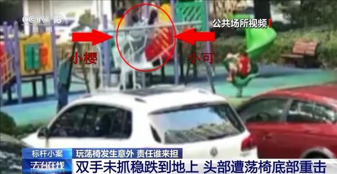 儿童玩荡椅意外身亡 责任谁来担？(图2)