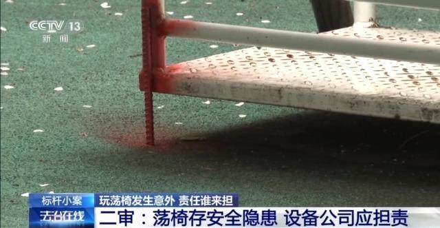 儿童玩荡椅意外身亡 责任谁来担？(图10)