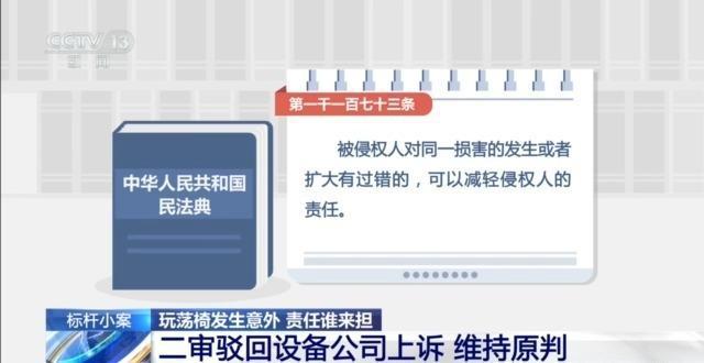 儿童玩荡椅意外身亡 责任谁来担？(图12)