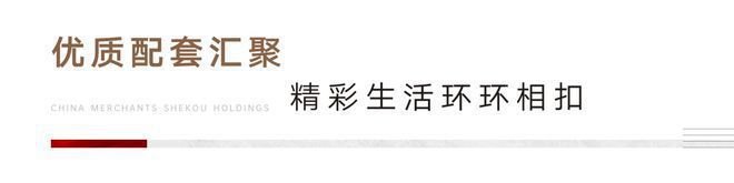 招商南山璀璨领峯2024官方网站丨上海璀璨领峯售楼处丨楼盘详情(图6)